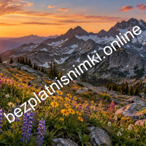 Планинска поляна с цветя по залез